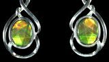 Gorgeous Ammolite Earrings with Sterling Silver #143580-1